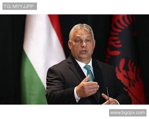 专访杨娜：探寻她在篮球领域取得成功的秘诀与心路历程