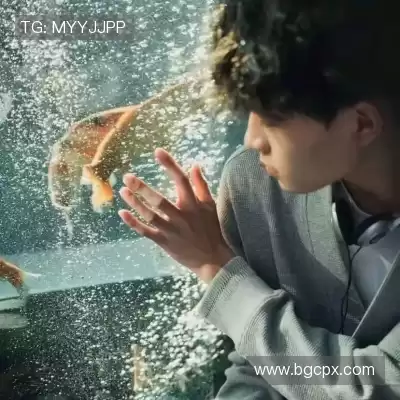 嵇寒畅
