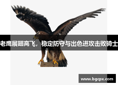 老鹰展翅高飞，稳定防守与出色进攻击败骑士